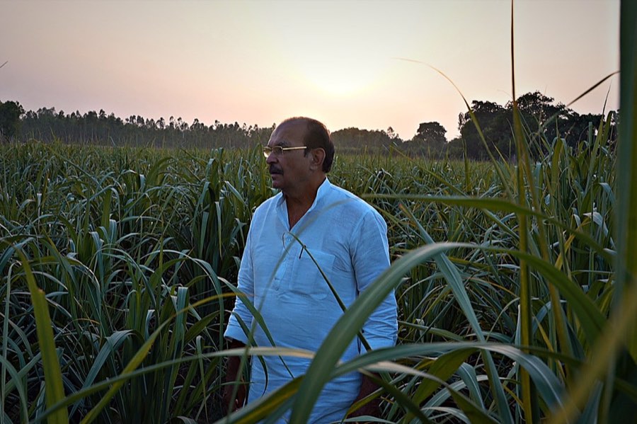 DP यादव जी खेतों के बीच, सुनहरी शाम में
